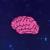 Brainyloft logo