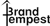 Brand Tempest logo