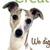 Whippet Creative logo