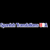 Spanish Translations USA logo