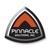 Pinnacle Solutions logo