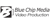 Blue Chip Media logo