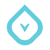 VeriSolutions logo
