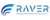 RAVER AI logo