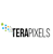 TeraPixels Systems logo