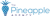 The Pineapple Agency logo