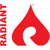 Radiant Systems Inc logo