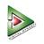 Digital Dynasty logo