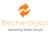 Blecher Digital Marketing logo