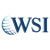 WSI Peak Digital Strategy logo
