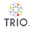 Trio Solutions Inc. logo