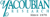 Yacoubian Research logo
