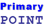 Primary Point, Inc. logo