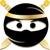 Brown Box Ninja. logo