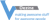 Vdezine global logo