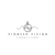 Pioneer Vision Consulting logo