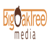 Big Oak Tree Media logo