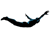 BrowneMusser logo