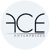 ACE Enterprizes logo