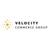 Velocity Commerce Group logo
