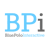 Blue Polo Interactive logo