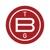 The Buntin Group logo