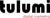 Tulumi Digital Marketing logo