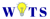 Wisdom IT Solutions logo