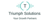 Triumph Solutions logo