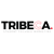 Tribeca Marketing Group logo