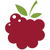 Berry Interesting Productions Inc. logo