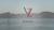 Venardi Zurada LLP logo