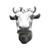 Regular Animal logo