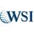 WSI internet patner logo