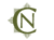 Noell Consulting Group logo
