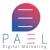 Pael Digital Marketing Agency logo