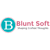 Blunt Soft LLC logo