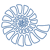 Ammonite logo