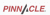 Pinnacle Transport Group logo