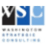 Washington Strategic Consulting logo