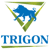 Trigon Creative logo