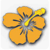 Aloha International Employment Inc logo