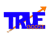 True Boost Digital logo