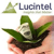Lucintel logo