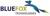 Bluefox Technologies logo