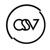 Control Shift Video logo