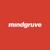 Mindgruve