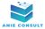 Anie Consultant Inc. logo