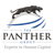 The Panther Group logo