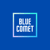 Blue Comet Media logo